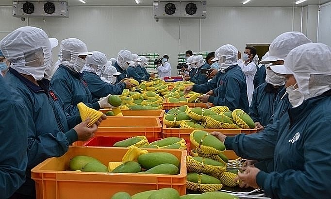 Nông sản bứt phá, trụ cột mới thúc đẩy tăng trưởng xuất khẩu đầu năm 2025