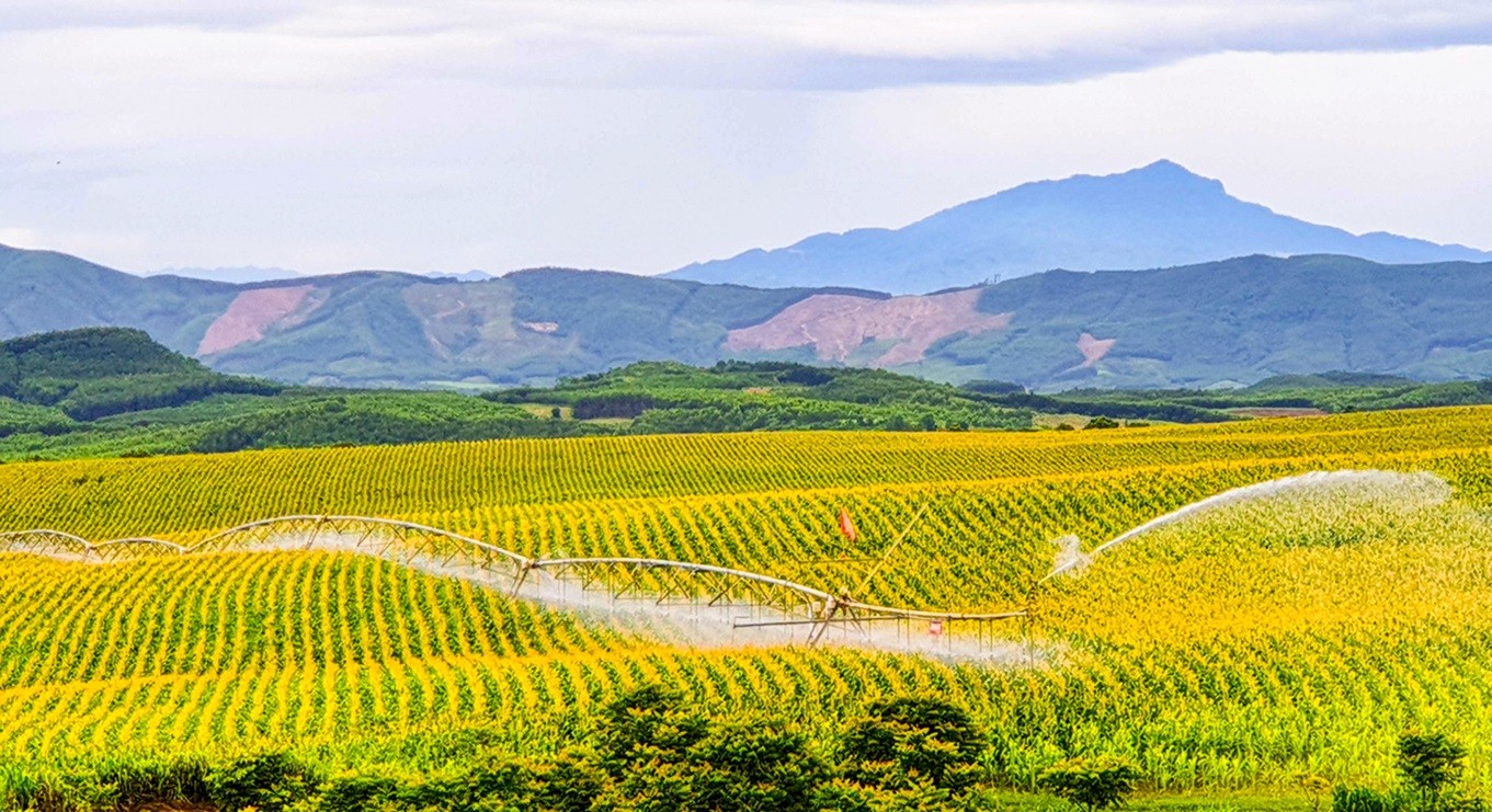 Phát triển sản phẩm thiên nhiên: Cơ hội từ Nghị quyết 68