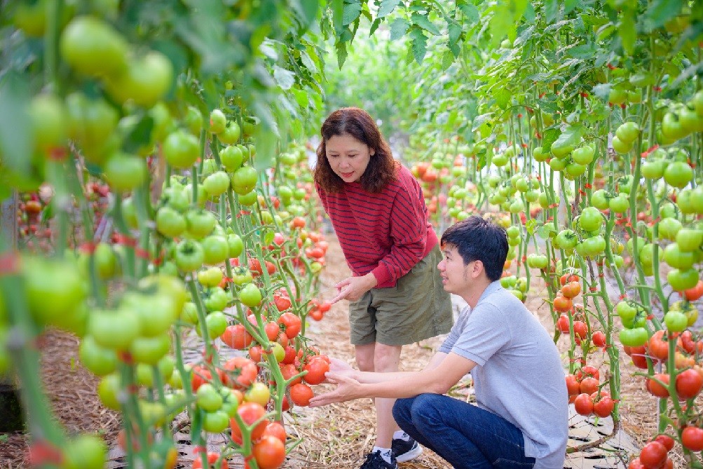 Phát triển sản phẩm thiên nhiên: Cơ hội từ Nghị quyết 68