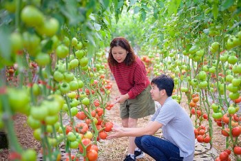 Khi giá trị, sức khỏe và bền vững định hình xu hướng mua sắm mới trên thị trường tiêu dùng Việt Nam