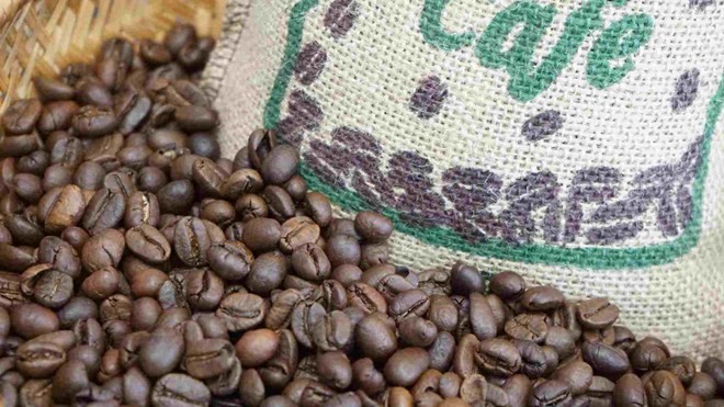 Giá cà phê lao dốc: Arabica thấp nhất trong 2,5 tuần, Robusta chạm đáy 1 tháng