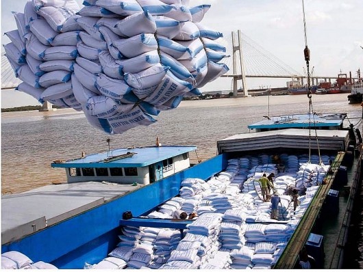 Xuất khẩu gạo của Việt Nam được dự báo đạt 7,9 triệu tấn trong năm 2025