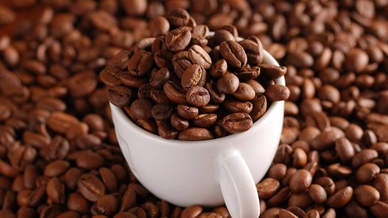 Giá cà phê Tây Nguyên giảm sốc tới 2.500 đồng/kg