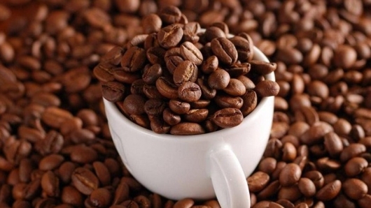 Giá cà phê Tây Nguyên giảm sốc tới 2.500 đồng/kg