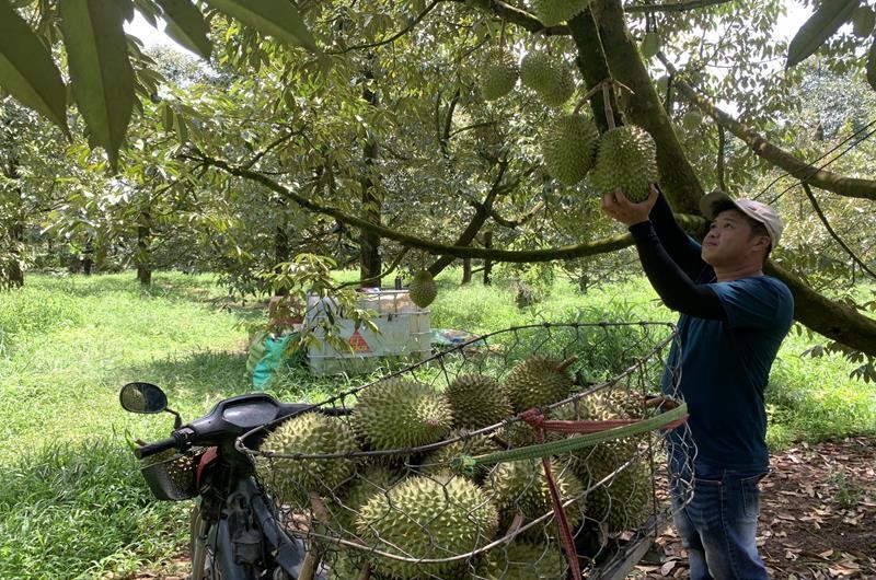 Mở rộng kết nối, lan tỏa giá trị nông sản Việt