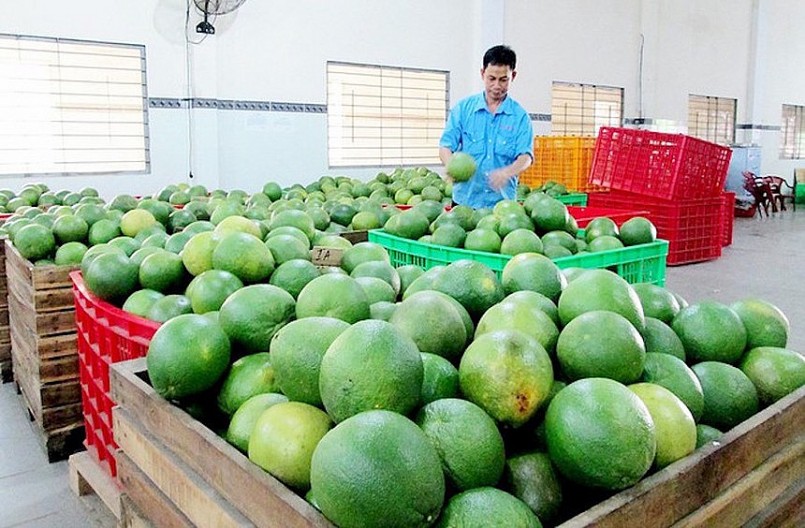 Việt Nam - Hoa Kỳ bắc nhịp cầu nông nghiệp chiến lược