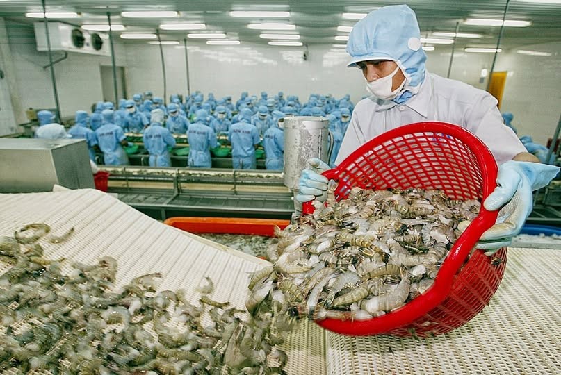 Tôm Việt Nam bất ngờ chịu thuế chống bán phá giá cao từ Hoa Kỳ