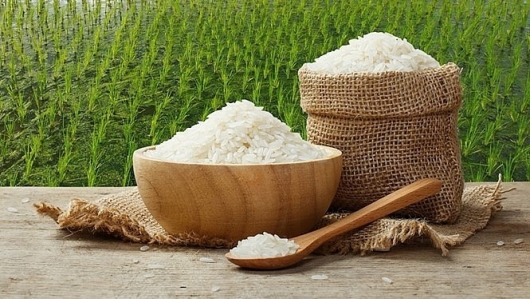 Giá lúa gạo ngày 8/6: Thị trường ổn định, xuất khẩu gạo vẫn tăng trưởng về lượng