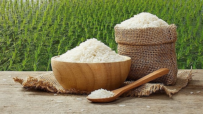 Giá lúa gạo ngày 8/6: Thị trường ổn định, xuất khẩu gạo vẫn tăng trưởng về lượng