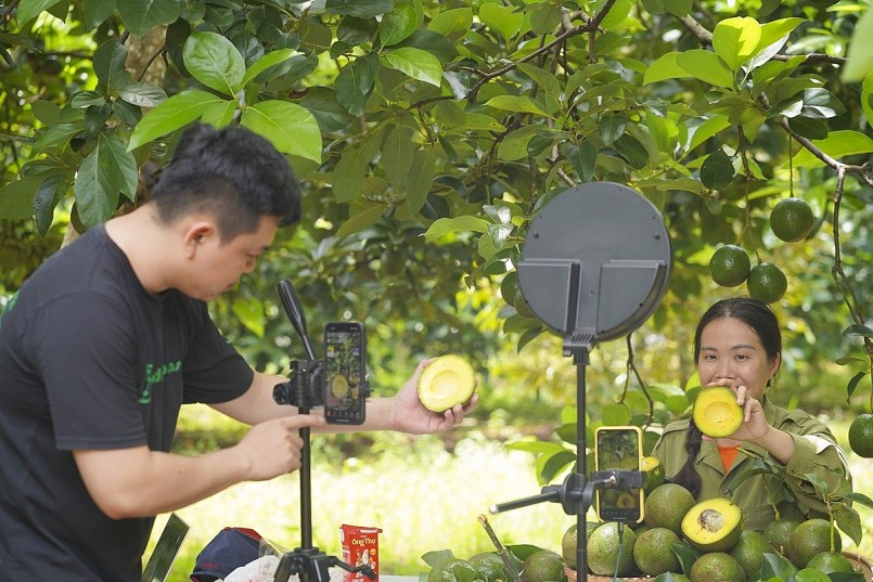 Không chỉ có nông dân, nhiều doanh nghiệp cũng đã tích cực đồng hành, hỗ trợ bà con trong việc đưa sản phẩm lên các sàn thương mại điện tử. 
