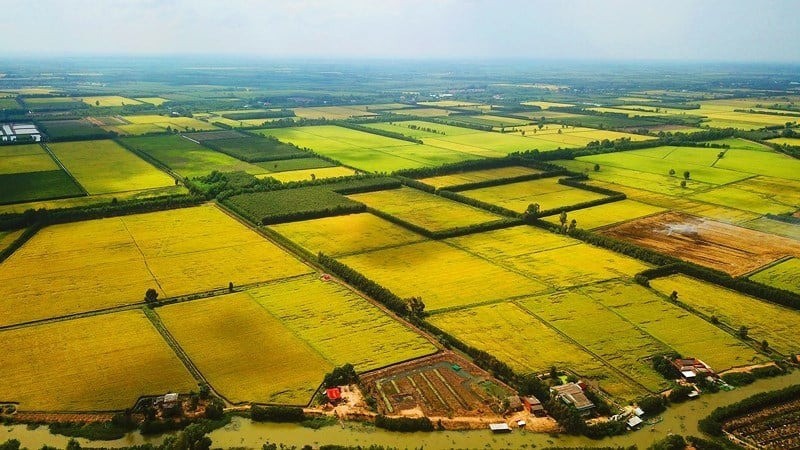 Bộ trưởng Tài chính: Miễn thuế đất nông nghiệp đến 2030, hỗ trợ trực tiếp nông dân mà không giảm thu
