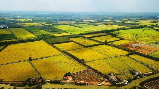 Bộ trưởng Tài chính: Miễn thuế đất nông nghiệp đến 2030, hỗ trợ trực tiếp nông dân mà không giảm thu