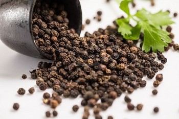 Giá tiêu giảm sâu, người trồng canh cánh nỗi lo đầu ra