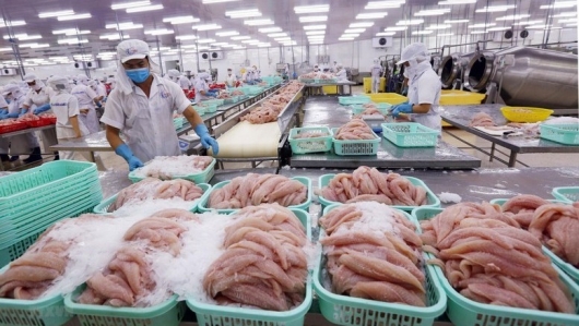 VASEP kiến nghị Thủ tướng Chính phủ chỉ đạo giải pháp bảo vệ ngành thủy sản xuất khẩu