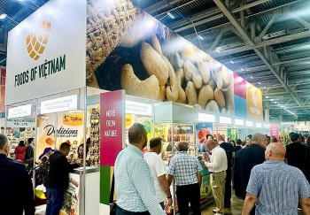 Hàng Việt mở rộng cánh cửa vào Á Âu