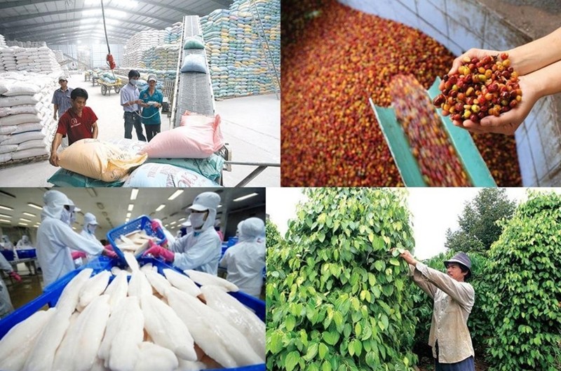 Gạo và rau quả “hụt hơi”: Cảnh báo chiến lược hay cơ hội tái cấu trúc?