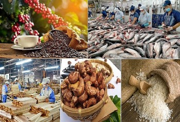 Xuất khẩu nông lâm thủy sản bứt tốc, tăng mạnh nhất trong 3 năm qua
