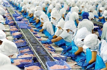 Bộ NN-MT lên kịch bản ứng phó với thuế quan Mỹ, giữ mục tiêu xuất khẩu 65 tỉ USD năm 2025
