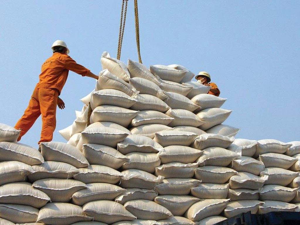 Philippines tạm ngưng nhập khẩu gạo: Thị trường Việt Nam vẫn “đứng vững”