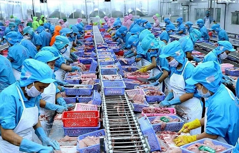 Nâng cao kiểm soát an toàn thực phẩm với chuỗi sản phẩm động vật