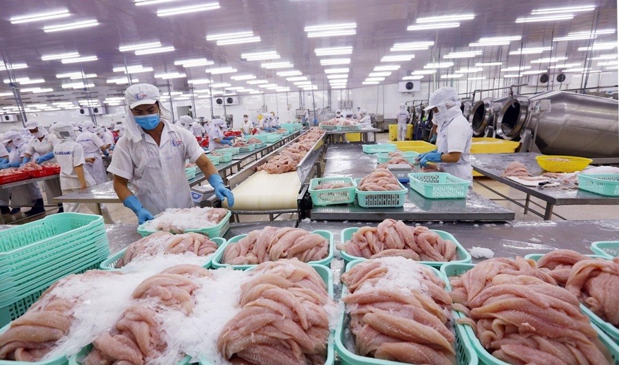 Trung Quốc vượt Mỹ, trở thị trường nhập khẩu thủy sản lớn nhất của Việt Nam