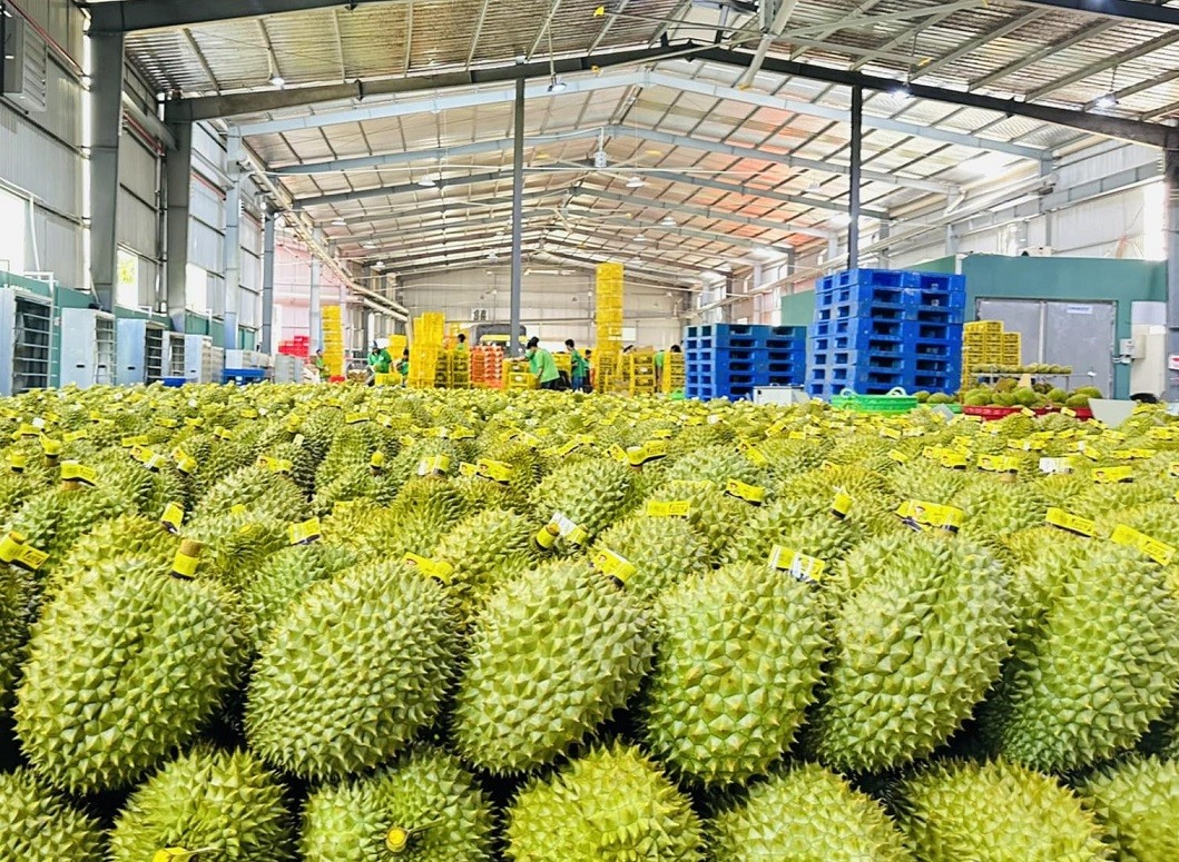 Xuất khẩu nông sản tăng tốc, hướng tới mục tiêu 70 tỷ USD.
