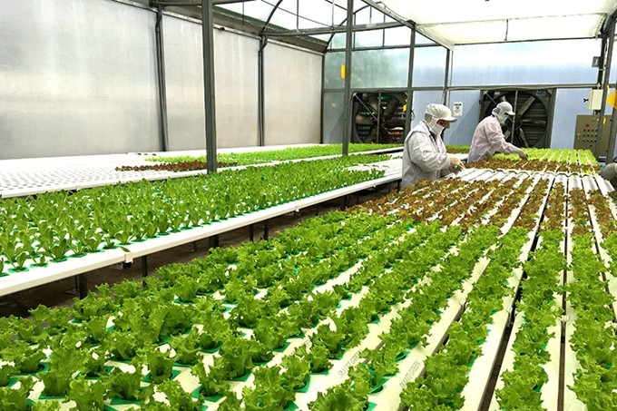 Ngành Nông nghiệp và Môi trường tiên phong dẫn dắt kinh tế xanh, bền vững