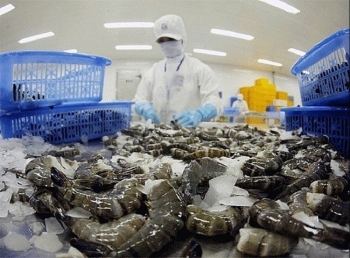 Mỹ thu hồi khẩn tôm nhập khẩu từ Indonesia