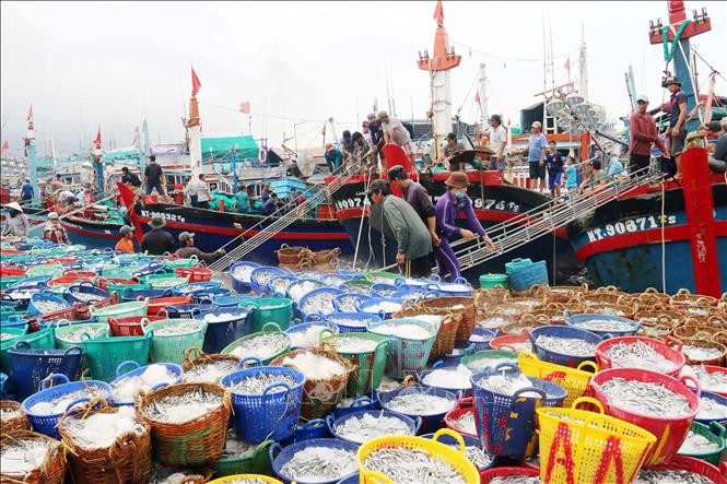 80 năm Việt Nam: Từ quốc gia đói nghèo trở thành cường quốc xuất khẩu