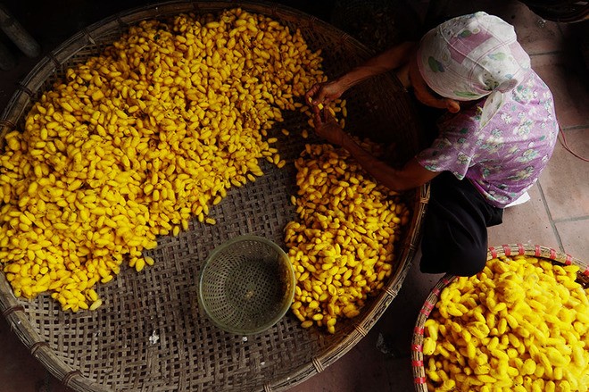 Tiềm năng từ mô hình du lịch cộng đồng gắn với sản phẩm OCOP