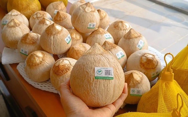 Xuất khẩu dừa Việt Nam lọt top 5 thế giới
