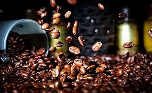 Giá cà phê hôm nay 8/9: Chững lại sau tuần lao dốc, thị trường nín thở chờ tín hiệu mới