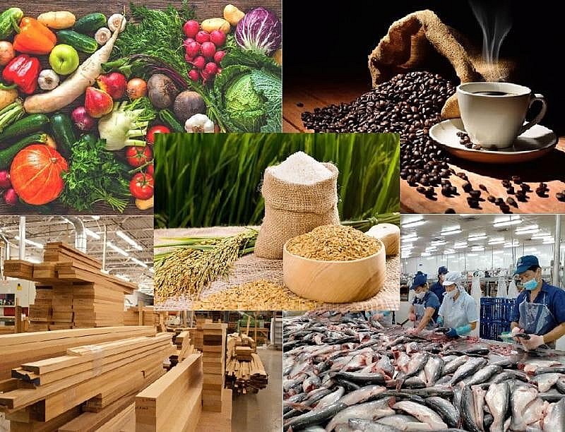 Xuất khẩu nông, lâm, thủy sản 8 tháng năm 2025 đạt nhiều khởi sắc, tự tin đạt mục tiêu năm 2025