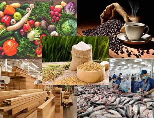 Xuất khẩu nông, lâm, thủy sản 8 tháng năm 2025 đạt nhiều khởi sắc, tự tin đạt mục tiêu năm 2025