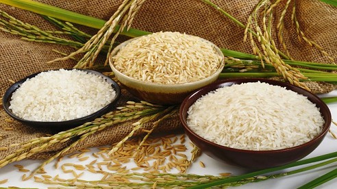 Chủ động và linh hoạt chiến lược kinh doanh: Chìa khóa giúp ngành gạo Việt vượt khó