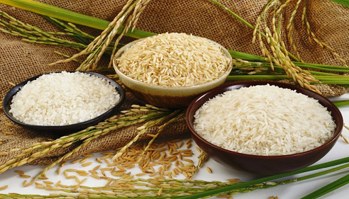 Xuất khẩu gạo Việt Nam: Thách thức trùng trùng, đâu là lời giải?