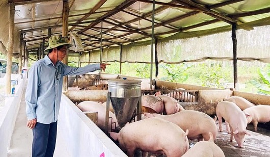 Sản xuất nông nghiệp tháng 8 phục hồi tích cực