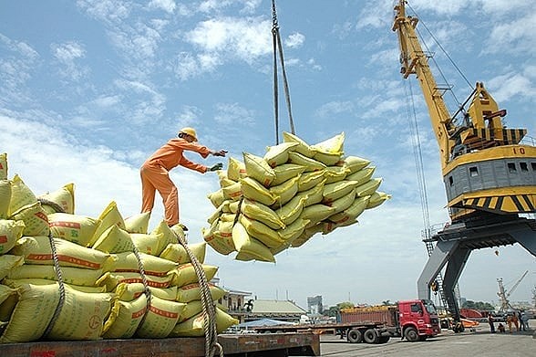 Chủ động mở rộng thị trường: Giải pháp vượt khó, khẳng định thương hiệu gạo Việt Nam