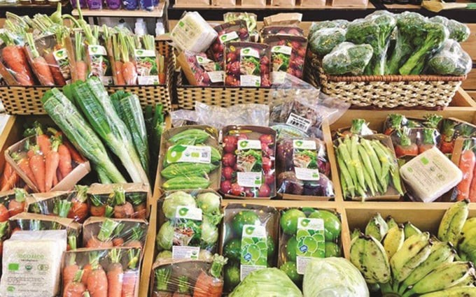 Thị trường nông nghiệp hữu cơ: Động lực mới trong chuyển đổi xanh