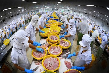 Hiệp định Thương mại Tự do mở rộng cánh cửa cho hàng Việt vào EU