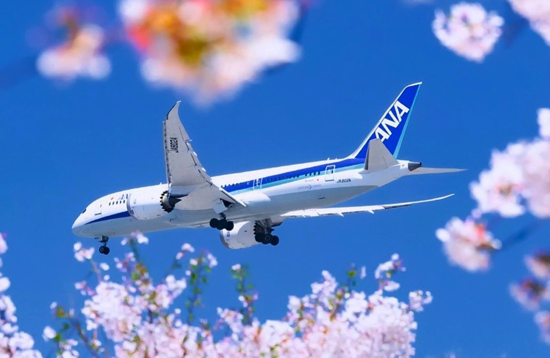 Cuộc đua dịch vụ hàng không toàn cầu: Thương hiệu chuẩn mực “World Class” Cuộc đua dịch vụ hàng không toàn cầu: Thương hiệu chuẩn mực “World Class”