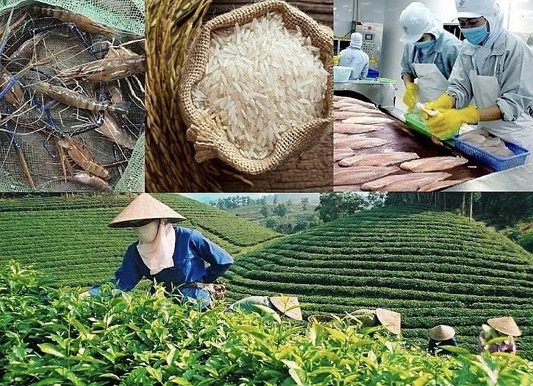 Xuất khẩu nông, lâm, thủy sản Việt Nam hướng tới kỷ lục 70 tỷ USD năm 2025
