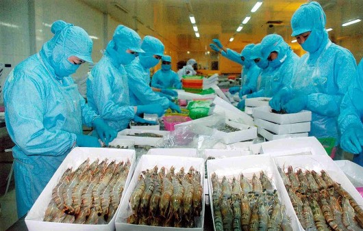 Ngành tôm Việt Nam kỳ vọng chạm mốc 3,8 tỷ USD xuất khẩu năm 2025