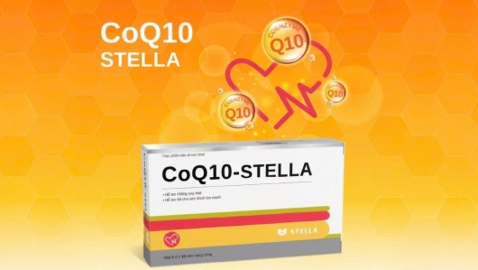 COQ10-STELLA – Giải pháp hỗ trợ chống oxy hoá, góp phần duy trì sức khỏe tim mạch