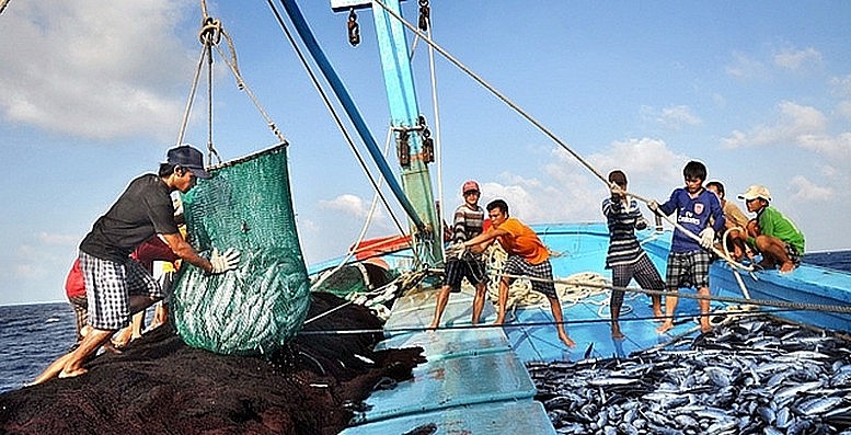 Thủ tướng phát động “Tháng cao điểm chống khai thác hải sản bất hợp pháp”: Kiên quyết gỡ thẻ vàng IUU