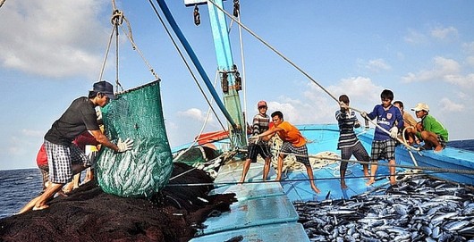 Thủ tướng phát động “Tháng cao điểm chống khai thác hải sản bất hợp pháp”: Kiên quyết gỡ thẻ vàng IUU
