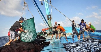Thủ tướng phát động “Tháng cao điểm chống khai thác hải sản bất hợp pháp”: Kiên quyết gỡ thẻ vàng IUU