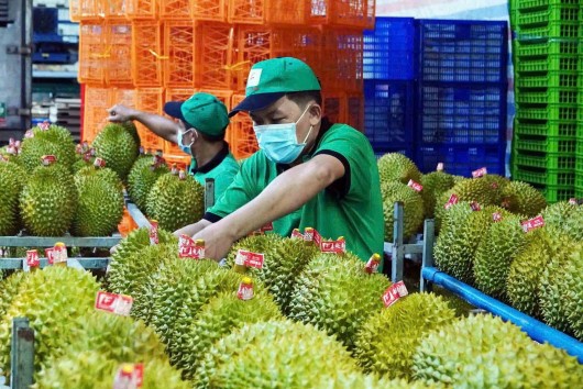 Cục Trồng trọt và Bảo vệ thực vật làm rõ nguyên nhân gần 2.000 container sầu riêng bị tắc tại cảng
