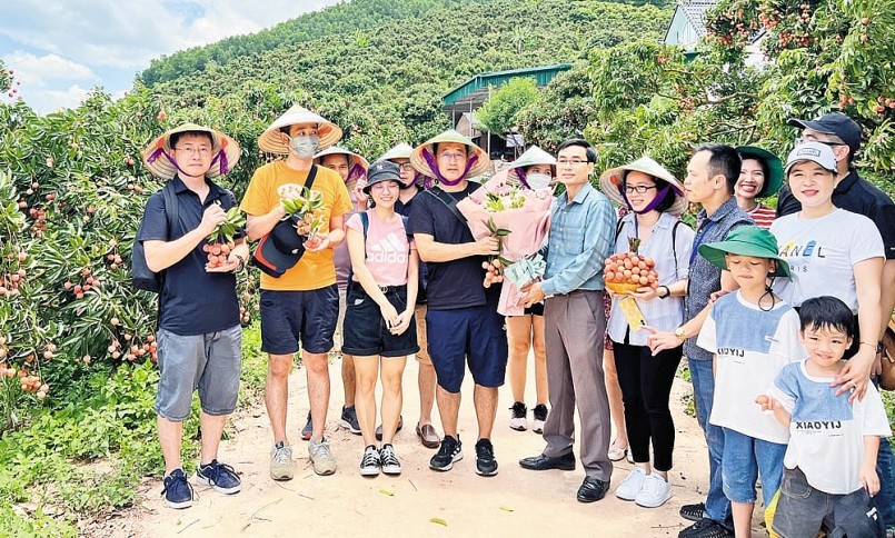 Chủ động chuẩn hóa quy trình đánh giá, công nhận sản phẩm: Nền tảng giúp Bắc Ninh đưa sản phẩm OCOP vươn xa Chủ động chuẩn hóa quy trình đánh giá, công nhận sản phẩm: Nền tảng giúp Bắc Ninh đưa sản phẩm OCOP vươn xa