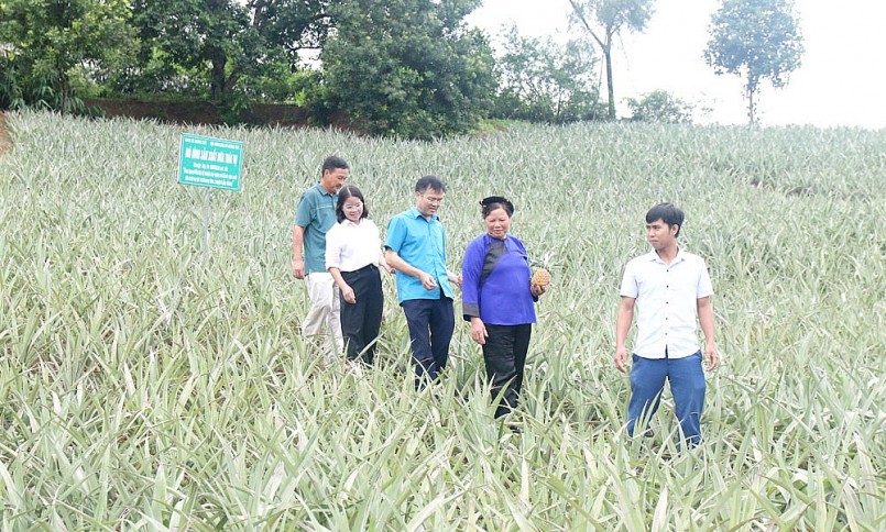 Chủ động chuẩn hóa quy trình đánh giá, công nhận sản phẩm: Nền tảng giúp Bắc Ninh đưa sản phẩm OCOP vươn xa Chủ động chuẩn hóa quy trình đánh giá, công nhận sản phẩm: Nền tảng giúp Bắc Ninh đưa sản phẩm OCOP vươn xa